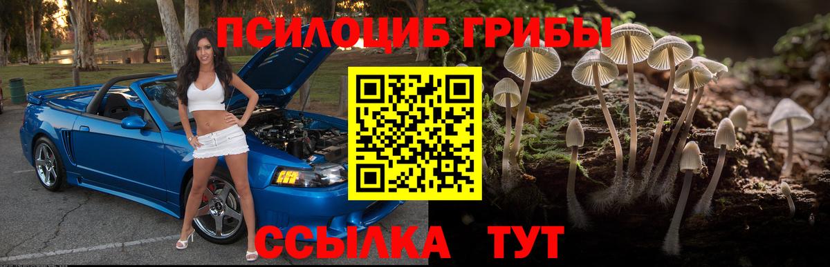 Псилоцибиновые грибы мицелий Кострома