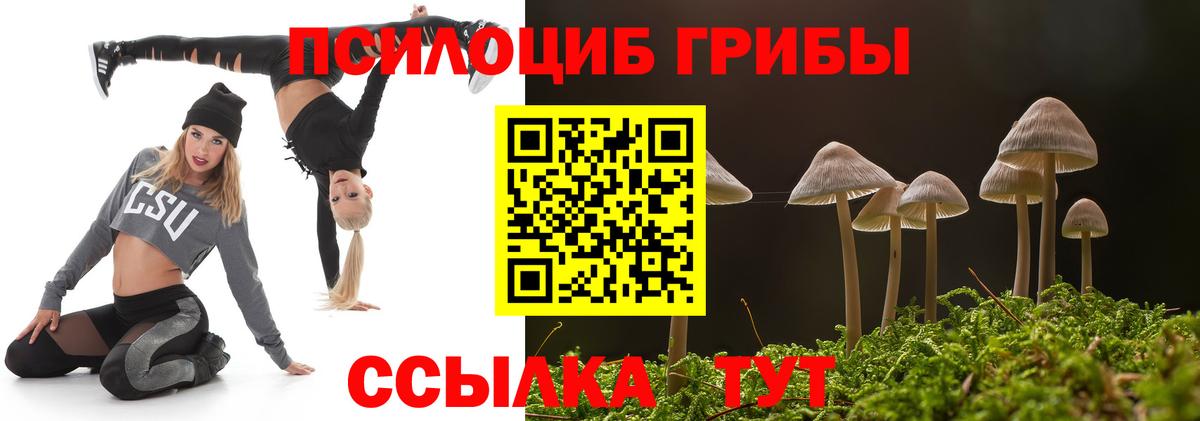 где продают наркотики  Псилоцибиновые грибы Psilocybe  Вход с VPN  Кострома 